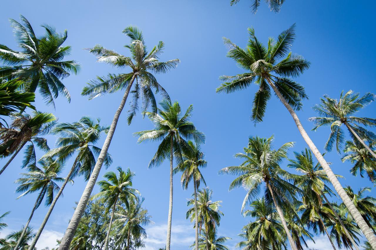 Medee Resort Ko Kut Buitenkant foto
